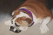Portrait Creations is accepting commissions for paintings in pastel & oil. The artist earned awards & high marks and has studied extensively with internationally known portrait artist Daniel E. Greene and also attended workshops, lectures & demos with the following master artists to date: Barbara Applegate, Wendy Caporale, Judith Carducci, Margaret Dyer, Cedric Egeli, Calvin Goodman, Charles Gruppeí, Ray Kinstler, Michael Shane Neal, Richard Schmid, Burton Silverman. Christy Pilkintonís workshop format includes demonstrations in oil and pastel, color, study of the Old Masters, professional portrait procedure, posing and lighting of models, choosing painting positions, arrangement of materials and easel, canvas preparation. She also covers methods of painting (masses, values, color, texture, etc.), methods of observing and understanding color, color mixing in oil & its application to pastel, portrait palettes of the Old Masters and Impressionists revealed, professional portrait artistís palette explained and discussed. Pastel instruction included mastering pastels, choice of materials, types of surfaces, techniques, framing, composition, pricing, working from photographs, promotion and critique of artists work. Commissions in Pencil, in Charcoal, Oil, Pastel for commemorative, heirloom, heritage, honorarium, Memorial paintings. Oil paintings, old masters, pastel, posterity, realistic, realism, realists, representational, source, traditional. The artist takes special interest in painting children’s portraits as well teaching children’s art classes. Having worked with children for many years in several capacities, the artist has a unique gift and passion for sharing what she has learned. “Children are like sponges and soak up everything you teach them. They have an intense enthusiasm and excitement about creating.” Wedding portraits Nashville Wedding Portrait, Madison area. The artist has done photography for many Nashville Weddings and has also done portraits in oil and pastel from the wedding photographs. Wedding photography has been a hobby that has developed into another venue for the artist to work. Wedding portraits in oil & pastel Nashville, Wedding paintings in oil & pastel Wedding photography, Wedding portraits in pencil or charcoal Animal portraits in the Nashville Area Pet Portraits in Nashville, Paintings of your pet in pencil, charcoal, oil or pastel Portraits from photos of your pet Nashville and Madison Tennessee Drawing classes, Oil & pastel classes in Nashville, Nashville portraits Nashville art classes, Nashville children’s art classes, children’s art lessons Painting classes in Nashville Tennessee, Art classes in Nashville, Home studio in Madison teaching oil, pastel, drawing Adults and children’s art Christy Pilkinton’s workshop format includes demonstrations in oil and pastel, color, study of the Old Masters, professional portrait procedure, posing and lighting of models, choosing painting positions, arrangement of materials and easel, canvas preparation. She also covers methods of painting (masses, values, color, texture, etc.), methods of observing and understanding color, color mixing in oil & its application to pastel, portrait palettes of the Old Masters and Impressionists revealed, professional portrait artist’s palette explained and discussed. Pastel instruction included mastering pastels, choice of materials, types of surfaces, techniques, framing, composition, pricing, working from photographs, promotion and critique of artists work.