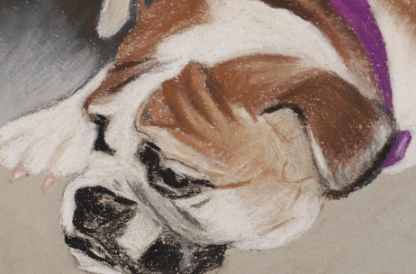Portrait Creations is accepting commissions for paintings in pastel & oil. The artist earned awards & high marks and has studied extensively with internationally known portrait artist Daniel E. Greene and also attended workshops, lectures & demos with the following master artists to date: Barbara Applegate, Wendy Caporale, Judith Carducci, Margaret Dyer, Cedric Egeli, Calvin Goodman, Charles Gruppeí, Ray Kinstler, Michael Shane Neal, Richard Schmid, Burton Silverman. Christy Pilkintonís workshop format includes demonstrations in oil and pastel, color, study of the Old Masters, professional portrait procedure, posing and lighting of models, choosing painting positions, arrangement of materials and easel, canvas preparation. She also covers methods of painting (masses, values, color, texture, etc.), methods of observing and understanding color, color mixing in oil & its application to pastel, portrait palettes of the Old Masters and Impressionists revealed, professional portrait artistís palette explained and discussed. Pastel instruction included mastering pastels, choice of materials, types of surfaces, techniques, framing, composition, pricing, working from photographs, promotion and critique of artists work. Commissions in Pencil, in Charcoal, Oil, Pastel for commemorative, heirloom, heritage, honorarium, Memorial paintings. Oil paintings, old masters, pastel, posterity, realistic, realism, realists, representational, source, traditional. The artist takes special interest in painting children’s portraits as well teaching children’s art classes. Having worked with children for many years in several capacities, the artist has a unique gift and passion for sharing what she has learned. “Children are like sponges and soak up everything you teach them. They have an intense enthusiasm and excitement about creating.” Wedding portraits Nashville Wedding Portrait, Madison area. The artist has done photography for many Nashville Weddings and has also done portraits in oil and pastel from the wedding photographs. Wedding photography has been a hobby that has developed into another venue for the artist to work. Wedding portraits in oil & pastel Nashville, Wedding paintings in oil & pastel Wedding photography, Wedding portraits in pencil or charcoal Animal portraits in the Nashville Area Pet Portraits in Nashville, Paintings of your pet in pencil, charcoal, oil or pastel Portraits from photos of your pet Nashville and Madison Tennessee Drawing classes, Oil & pastel classes in Nashville, Nashville portraits Nashville art classes, Nashville children’s art classes, children’s art lessons Painting classes in Nashville Tennessee, Art classes in Nashville, Home studio in Madison teaching oil, pastel, drawing Adults and children’s art Christy Pilkinton’s workshop format includes demonstrations in oil and pastel, color, study of the Old Masters, professional portrait procedure, posing and lighting of models, choosing painting positions, arrangement of materials and easel, canvas preparation. She also covers methods of painting (masses, values, color, texture, etc.), methods of observing and understanding color, color mixing in oil & its application to pastel, portrait palettes of the Old Masters and Impressionists revealed, professional portrait artist’s palette explained and discussed. Pastel instruction included mastering pastels, choice of materials, types of surfaces, techniques, framing, composition, pricing, working from photographs, promotion and critique of artists work.